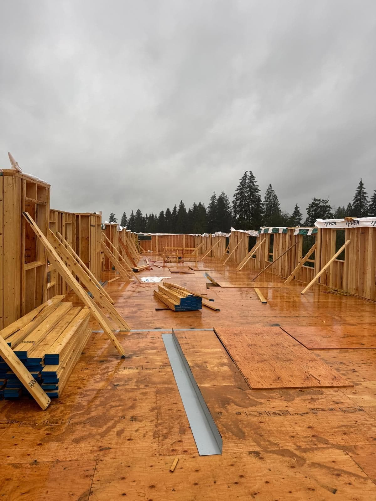 Mannat Framing job site photo 19